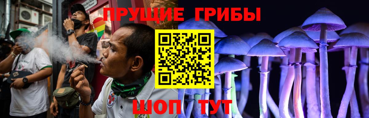 Галлюциногенные грибы Cubensis  Вход с VPN  Галлюциногенные грибы MAGIC MUSHROOMS  Гатчина 