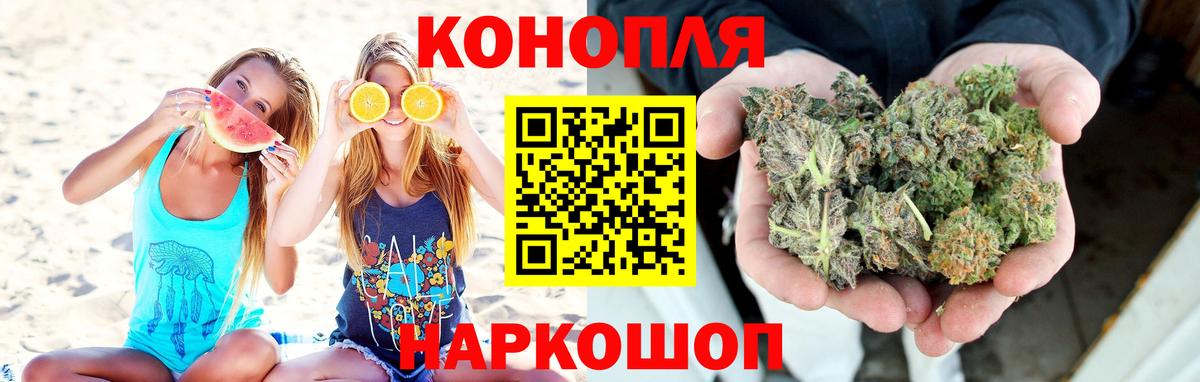 Каннабис сатива Гатчина